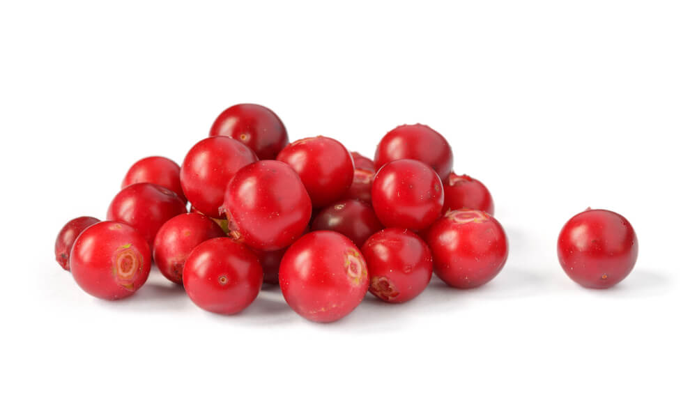 bilberry.jpeg Pooch Dog Spa