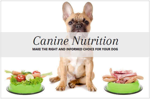 Canine nutrition