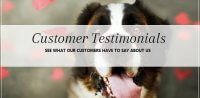Five star reviews for pooch Dog Spa