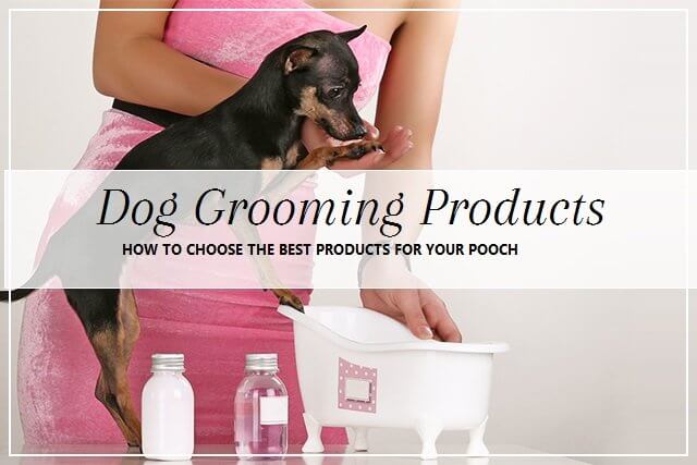 Dog spa treatment store products